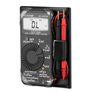 GOLDCHAMPeX^[^}`[^dEdERE_CI[heXgfW^}`[^[ʃeX^[LCDobNCgI[gW/dEm/I/Itr[v/Fy^fWc