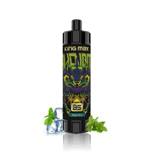 �g���̂ēd�q�^�o�R BS 10000��z�� �x�C�v 20ml �V�[�V�� VAPE �����^�� ���� �j�R�`���[�� �^�[���Ȃ� (�~���g�A�C�X)
