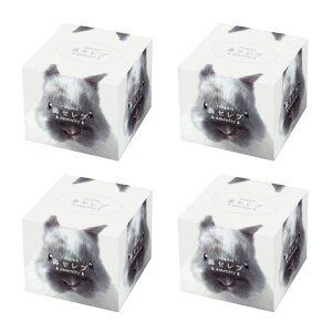 lsA@ZuamenityL[u^Cv260(130g)x4