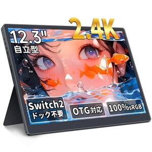 HAILESI ���o�C�����j�^�[ 12.3�C���` 2.4K 2400x1600 Switch2�h�b�N�s�v OTG�Ή� ���o�C���f�B�X�v���C 3:2��ʔ� 100%sRGB�L�F�� HDR 380nit IPS�p�l�� �����^ ���y�� �����^