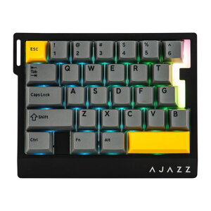 MechLands AJAZZ AK029 �����L���Q�[�~���O�L�[�{�[�h ���s�g�� �Ў�L�[�{�[�h 8000Hz�|�[�����O 29�L�[ ���C�X�C�b�`�t�� �A�N�`���G�[�V���������\ RGB�o�b�N���C�g �A���~�v���[�g���� Window�c