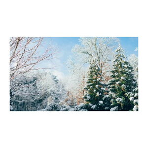 60~100C`̃vWFN^[XN[A4K׉掿̋}CNr[YA`CgJ[eA܂肽ݎVOJ[e\ʃz[VA^[Vl}p(80C`)