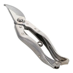 OR[|[VsitaI[XeX͂200mmA046