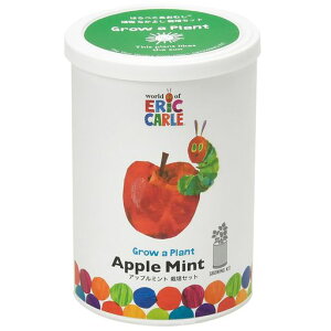 V|ʔNƒ؉ȒP͔|LbgAbv~gn[u͔|Zbg(R/H)̌a7cm͂؂ނȂ悵HP-0201