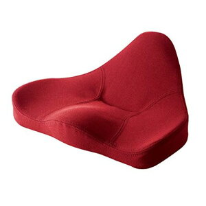 PROIDEA(vCfA)n}bgv~Abh0070-3102-01bh