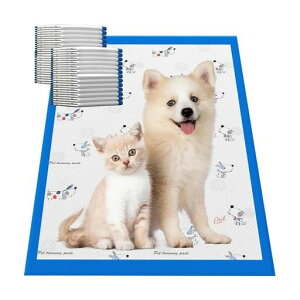 IDOLYFANybgV[cpLp33x45cm805whRzLgCg[jO^E^/nX^[Ή//sp