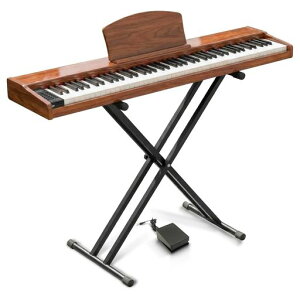 �y��p�X�^���h�t���zLongeye�����A�C�d�q�s�A�m88���Չ��ǂ�������MOLD2�ؐ��{�f�B���{��\�LMIDI�[�q�Ή��y�_���t��380��މ��F�ڒ��A���g���m�[���@�\�t��DREAM�������S�ҁA���K�Ƀs�b�^�c