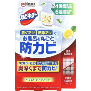 JrL[CɒuhJrWF₳VgX̍{̂C|