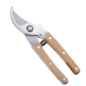 [ZoRoll]΂ݎ}؃oT~3Cr13XeX|Kтɂ؂ꖡ̍dNHbN[SSyt₩v܂łzK[fjOv|p͂ݎ}؁c