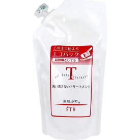 エスティヒッツ絹肌小町洗い流さないトリートメント詰替用300mL