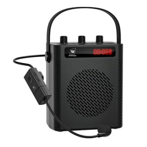 WWinbridge30W|[^ugnYt[gXs[J[Zbg}CNtPAVXegwbgZbg^/USB/AUX/TFJ[hu`wcX̔XJIPS93