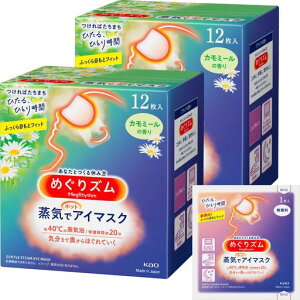 ߂YCŃzbgAC}XNJ~[̍12x2Zbg(24)+܂t