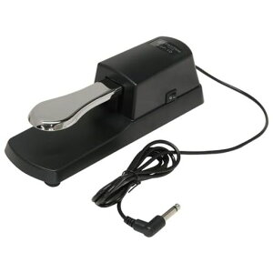 LN^j(Kikutani)_p[y_TXeBy_tbgy_fW^sAmL[{[hΉɐXCb`tKSP-10