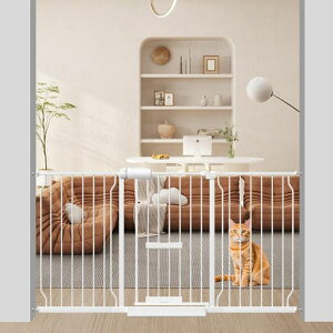 Gtxr[(FairyBaby)xr[Q[gybghAtLhAtybgQ[gLQ[gLpQ[gKi㌢蔲h~˂莮78cmJJsvԂQ[grfItc