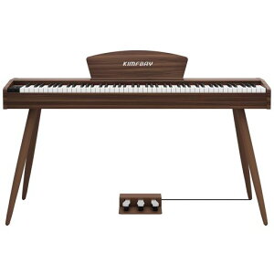 KIMFBAYdqsAm88Ճn}[ANVՖؐX^CdqsAmtXDREAM3{y_MIDI[qΉS҃}X^[Kp{CguE