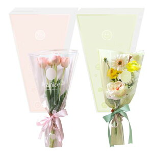 koundenekoԎt[bsOobO100Zbgԑ܎OpOPPܐ؂ԕhjɂbsOy[p[|DIYԉjo^Cf[̓NX}Xc