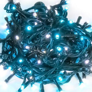 ^JV[K[fCg[{gLEDXg[g100S:12mVCTt@CAC~l[VOԐڏƖh͋ČrjLGT-100SS