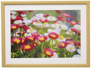 FUJICOLORؐzM20A4ؒn407833