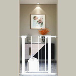 FairyBabyxr[Q[gybghAtt68-75CMLQ[g76cmxr[tFX˂莮_ubNJԂQ[gxr[K[h֊Kigt[tzCg