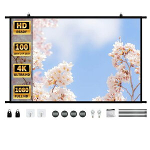 NODIBROvWFN^[XN[100C`Ch16:9vWFN^[|^Cv蓮݂艺XN[yʎ^щƒpeItBXz[VA^[v[e[VrWlXc