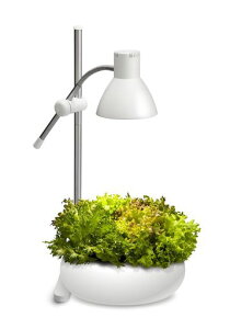 GENTOS(�W�F���g�X)�e�[�u�������v�A���琶���C�g800���[����IK-S72GWH