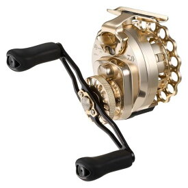 ダイワ(DAIWA)イカダリール25BJイカダ65