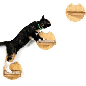 YangbagaLbgEH[N3ؐǊ|LpXebvTCUƂ܃pbhtLbgXebvLpƋL܌VяtȒP