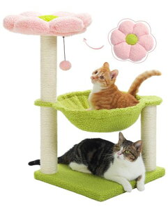 PAWZRoadLbg^[~j킢ႢLnbNL^[uL܌߂Ƃ|[R^߉ԉԂтt[T{eLxbhRpNglCgȒPc