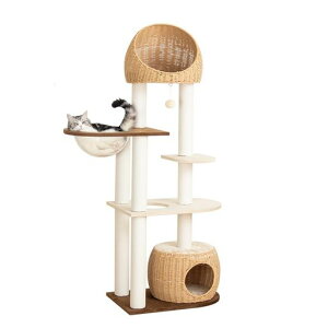 PETTIFULLbg^[u^152cm^LVjALؐ{[hɃxxbg҂݃JS^Ǎۂ҂R[i[RpNgLȃXy[X㉺₷Cec