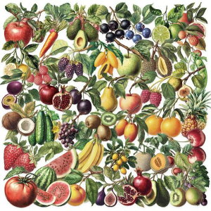 �t���[�c&�x�W�^�u���X�e�b�J�[50���A�X�N���b�v�u�b�N�ADIY�N���t�g�A�A���o���A�W���[�i���A�v�����i�[�A�E�H�[�^�[�{�g���A�g�ѓd�b�P�[�X�A�m�[�g�p�\�R���p�̖h��PET�����X�e�b�J�c