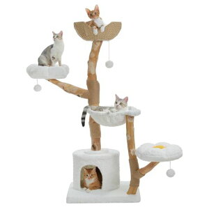 PETEPELA(؃e؃)Lbg^[ؐ^L~jCގ҂݃JSVR̖ؗؔL^[ttӂӂ푽uRpNgL܌RLnEXW]䂨c