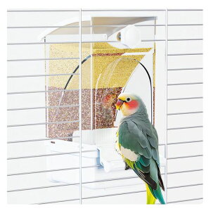 aꎩa풹pt[htB[_[юUȂptB[_[hREGTUh~eʈogCta@Ċ|鏬GTIJCRybgpցc