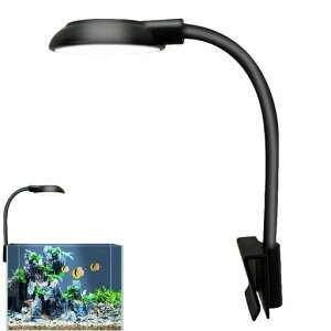 KENASTACgLED5WNbv琬CgPxR8000-10000K1.3m360x}pȃGlڂɗDMы_Jp10-30cmΉyʃRpNg݌v(ubN)