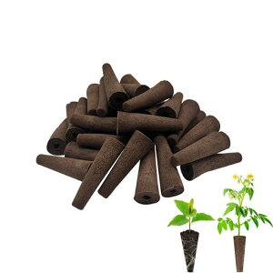 yBookwarmzy30Zbgzk͔|X|Wk͔|LbgpzX|Wlߑւ|bh|y͔|cx[X|Đ\K[fΉ|ƒ؉EnCOEEkX|W͔||c