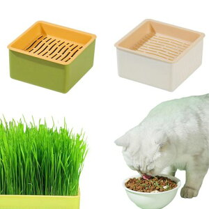 TRXk͔|L{bNX2ZbgLv^[ysgpʋCPPގpe햳y͔|gCC[hfUCLpiybgpiL͔|LbgO[ĐF