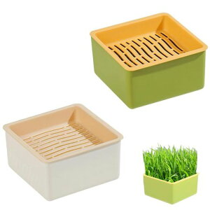 KDSSYFTk͔|LLbgLv^[LbgOXg[pReiL͔|{bNX(2)