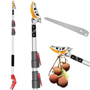 Areden}}؂̉ʍ}؂OiɐLkł140cm~300cmoT~ԏ͙Lk\}nT~葾}tmRnyʐ؂ꖡethSk5|A~ABS|pi؁c