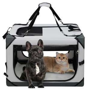 TotoroballL[P[XLL[obO܂݃\tgN[gpN[gbNt{goht\^10kg܂ŁwЊQAȈՏhAAEghAAa@ALc