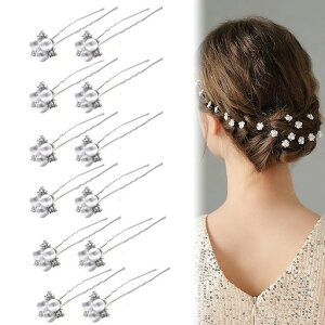 RICISUNGp[sy12{ZbgzUswAANZT[p[eBAWwAANZT[wAswbhhXaBeԉłȂǂ̔plƎ