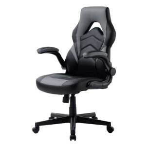 �T�����T�v���C�Q�[�~���O�I�t�B�X�`�F�ASNC-L20GY