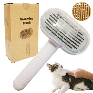 uV/Lю/ې􂢉\/}bT[W/vbVybgpubbVOuVXbJ[uVjTCY\jJo[tO[~OыʎN[i[ɂc