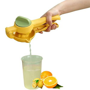 AidourHM蓮W[T[W[T[nhW[T[ʏ`iIWW[T[it[ciƒpƖp(CG[)