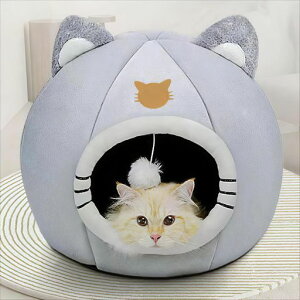 HuijokfLxbhh[LnEXybgpQ܃LbgnEXh[^gӂӂxe~p薰鐅􂦏^Lbgybg