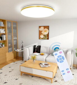 POOPEELEDV[OCg8^ؒڃRtiKAF28W3600LM铔[h@\30/60X[v^C}[ȃGlVƖaa֐QL䏊c