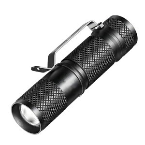 RACAYZEEy2025ŐVY[\zledCg[dd^A~jENbvPx`bvڃtbVCg3[hType-B[d͖hRpNg莝