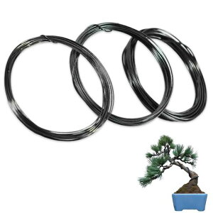 LIKENNY~͗pj|pA~\tgC[3Zbg1mm1.5mm2mme5mC[r[Y||}Uƒ؉~͗p炩jANZT[