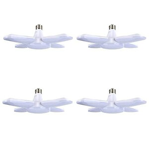 K[WCgledƓledV[OCgE26LEDd560WF6500KpCgHpCgy_gCgVƖ_CjO܂肽ݎVvHsvpx߉c