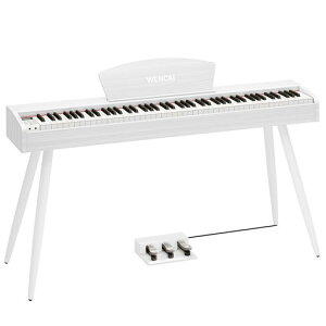 WENCAIdqsAm88Ճn}[ANbVՖؐfUCSҎqKsAmMIDI[qΉ3{y_X^hA_v^[t{