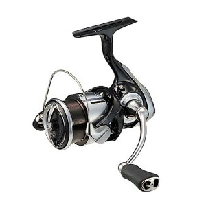 �_�C��(DAIWA)�X�s�j���O���[��23���O�U(LEXA)LT2500S