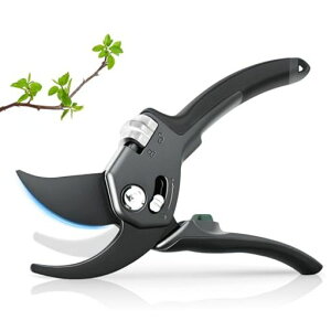 y2025lCt̂߁zoT~Pycuse΂2iK߉\SK85Yf|ϋv5{ɂlԍHwA~Obv}؂oT~|nT~|p͂ݎKтɂc